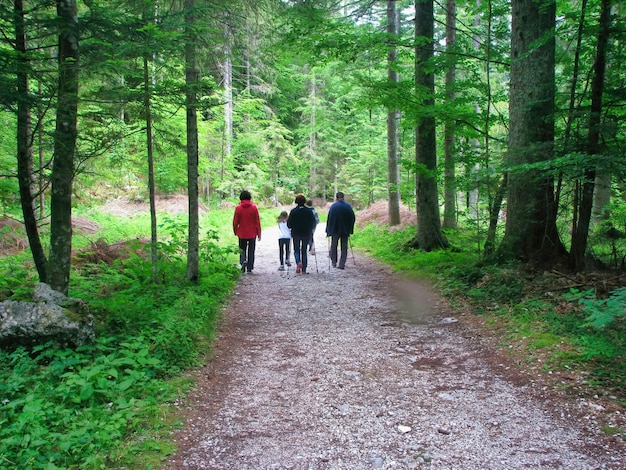 A group of hikers on a well-maintained trail in a US state park, with lush greenery and towering trees surrounding them.