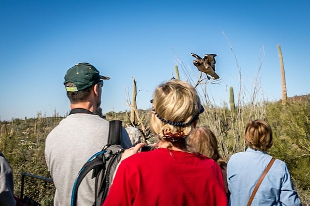 A group of visitors responsibly observing wildlife from a designated viewing area within a US wildlife refuge, showcasing respectful and non-intrusive interaction with nature.