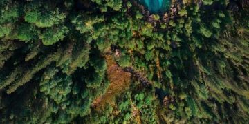 Sustainable US Travel Guide 2025: Eco-Friendly Tips & Local Support - Cover Image