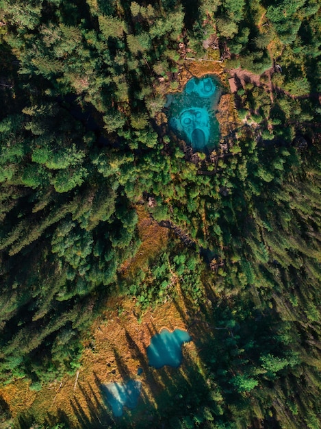 Sustainable US Travel Guide 2025: Eco-Friendly Tips & Local Support