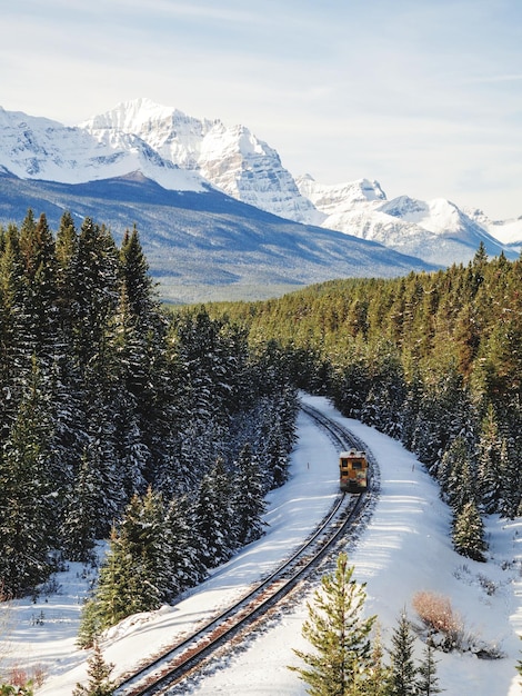 The California Zephyr train winding through the snow-covered Sierra Nevada mountains in winter. The landscape is majestic, with tall pine trees and rocky peaks visible.