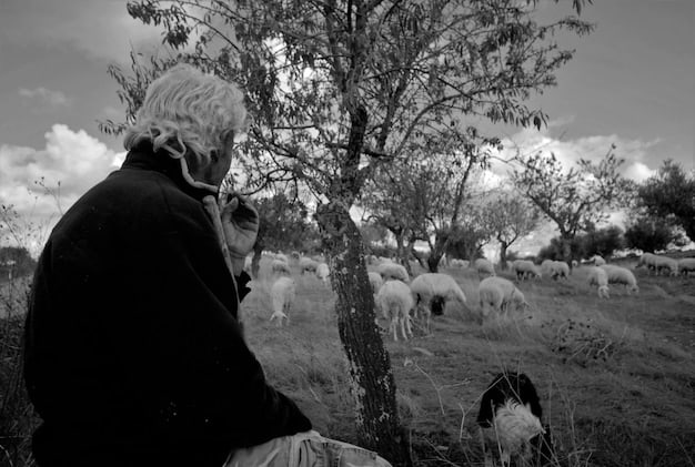 A split-screen image showing an older, black-and-white photograph of people speaking in a rural Southern setting versus a modern digital interface with people video conferencing from various US regions, symbolizing the impact of technology on accent evolution.