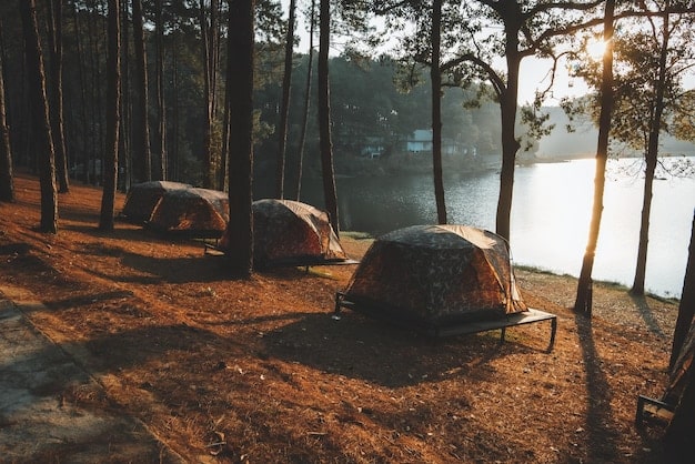 A cozy campsite in a national park with a tent set up near a campfire, highlighting affordable accommodation options and a connection with nature. The scene should be peaceful and inviting.