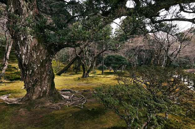 Unlocking Hidden Gems: Underrated US National Parks 2025